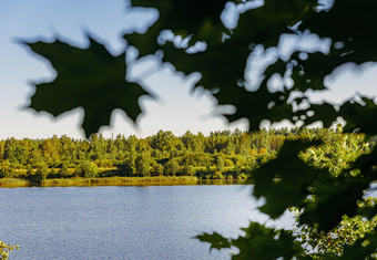 Волга фото volga-(4)
